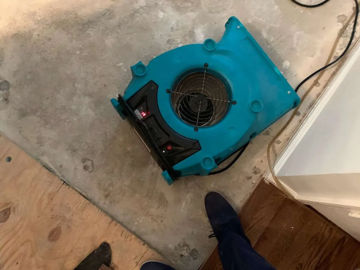 Air mover drying subfloor during Commercial Water Damage Restoration in Beatrice